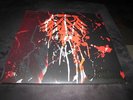 3 x LP / Vinyl - Toten Hosen 