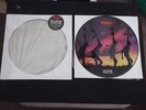 THE STRANGLERS DREAMTIME 1986 UK PRESS PICTURE DISC EPIC RECORDS EPC 11 26648