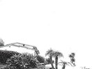TIMBER TIMBRE**HOT DREAMS (WITH DOWNLOAD)**VINYL