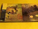 AFFINITY - Affinity - 2 LP reissue of  1970 (180g) + CD Lilith-progressiv Rock