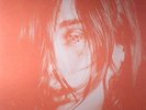 DEERHUNTER - Microcastle - gatefold 2xLP