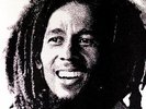 BOB MARLEY & THE WAILERS KAYA LP Vinyl Album BRAND NEW