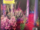 Husker Du-Warehouse: Songs and Stories, 2 x Colored Vinyl LP, RSD, NEW, SEALED