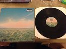 OASIS WHATEVER 12