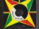 45 DUBPLATE SCREWDRIVER & TINGA STEWART JAMAICAN LOOK LISTEN EX KILLA