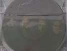 METALLICA THE BLACK ALBUM LP PICTURE DISC