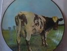 Pink Floyd Atom Heart Mother Picture