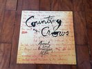 LP Counting Crows August and Everything After, Brazil, Geffen, 1993 