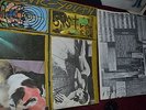 SONIC YOUTH SISTER RARE 1987 EUROPE RELEASE TORSO 33040/ BFPP 20 EXCELLENT