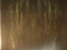 IMPETUOUS RITUAL - Unholy Congregation Of Hypocritical Ambivalence - 2xLP