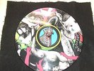 Yeah Yeah Yeahs Fever to Tell Picture Disc 33 RPM Vinyl LP