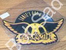 Rare - Aerosmith - Janie's Got A Gun 7