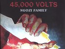 NGOZI FAMILY   '45.000 Volts'   AFRO ROCK ZAMBIA 2009   MINT
