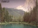 HANDSOME FAMILY, The - Through The Trees - LP