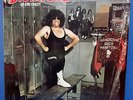 THE DICTATORS - Go Girl Crazy - US VINYL LP 1975 with PROMO MATERIAL -LIKE NEW