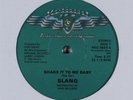 SLANG Shake It To Me Baby RELIANT ENTERTAINMENT GROUP 12