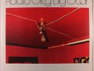 BIG STAR: Radio City LP Sealed (reissue) Rock & Pop