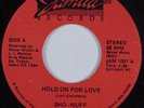 Modern Soul Boogie 45 SHO-NUFF Hold On For Love JAMILA HEAR