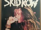 Skid Row - The Dead Dogs LP