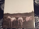 Foxing - The Albatross Vinyl Record New Sealed Into It Over It