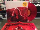 Ty Segall 