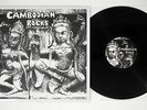 VA CAMBODIAN ROCKS PARALLEL WORLD PW 3 US Pressing Vinyl LP
