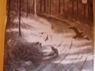 BURZUM : Hlioskjalf  (LP Neuf)(180 gr / vinyl couleur)