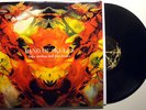 Baby Darling Doll Face Honey by Band Of Skulls (LP, Gatefold, Shangri La Music)