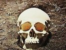 1971 MAGGOT BRAIN - FUNKADELIC - STONED WAH-WAH HENDRIX HARD WILD ACID PSYCH OUT