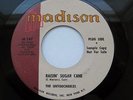 THE UNTOUCHABLES Raisin Sugar Cane RARE MOD NORTHERN SOUL R&B 45 PROMO NM