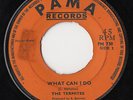 Termites SHOW ME THE WAY / WHAT CAN I DO Pama Records BOSS reggae rocksteady UK