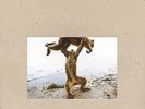 SHELLAC - DUDE INCREDIBLE   VINYL LP + CD NEU