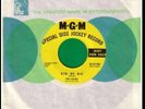 SEEDS Did He Die EX MGM PROMO 45 Love In A Summer Basket rare fuzz psych garage