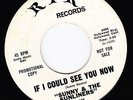 Sunny & The Sunliners If I Could See You Now RPR 105 7