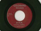 Obscure Swamp-Rock 45: Little Ray Campbell, Goldband 1064