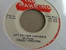 ISRAEL VIBRATION 