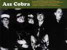 TURBONEGRO Ass Cobra LP