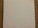 The White Album The Beatles Double LP Vinyl Apple Records Poster/Pictures VG+