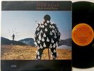 Pink Floyd - Delicate Sound Of Thunder 2xLP Columbia Rare US Pressing 1988
