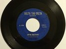 Nighthawks: Delta Tau Baby | very rare TX garage/rockabilly Eddie Reeves *HEAR*