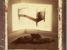 STRAYLIGHT RUN - STRAYLIGHT RUN - Vinyl LP
