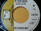 The Fourth Way- The Far Side of Your Moon/ Pink Cloud 45 Psych NM