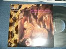 DEAD OR ALIVE Japan 1983 NM LP+Obi SOPHIESTICATED BOOM BOOM