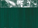 [VINYL NEW] STILL FEEL GONE - UNCLE TUPELO