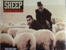 Wolf In Sheep's Clothing - 2 DISC SET - Black Sheep (2014, Vinyl New)