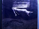 BILL EVANS+JIM HALL UNDERCURRENT SEALED NUMBERED LTD EDITION MFSL AUDIOPHILE LP