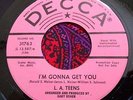 Garage Punk Knuckle Dragger 45 L.A. Teens I'm Gonna Get You Garay Usher NM HEAR