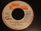 ISRAEL VIBRATION  Lift Up Your Conscience  /  Dub Fashion  TOP RANKING