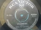 Rhino frutos del pais los beat 4 rare chilean single M