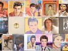 Ricky Nelson, 17 Vinyl Record Lot, 14 LP, 1 DLP, 2 EP's, 1 Single, Stone Canyon